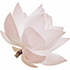 White lotus